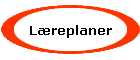 Lreplaner