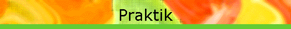 Praktik