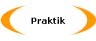Praktik
