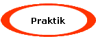 Praktik