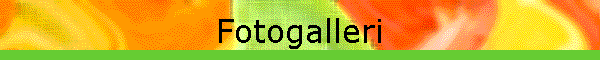 Fotogalleri